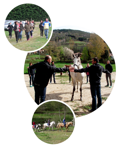 eventos2