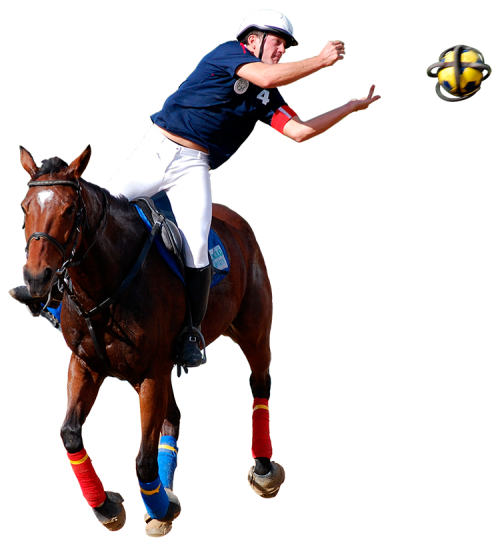 horseball2