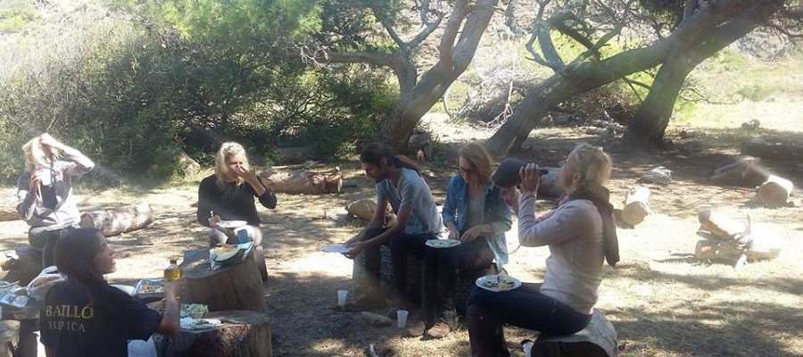 picnic2