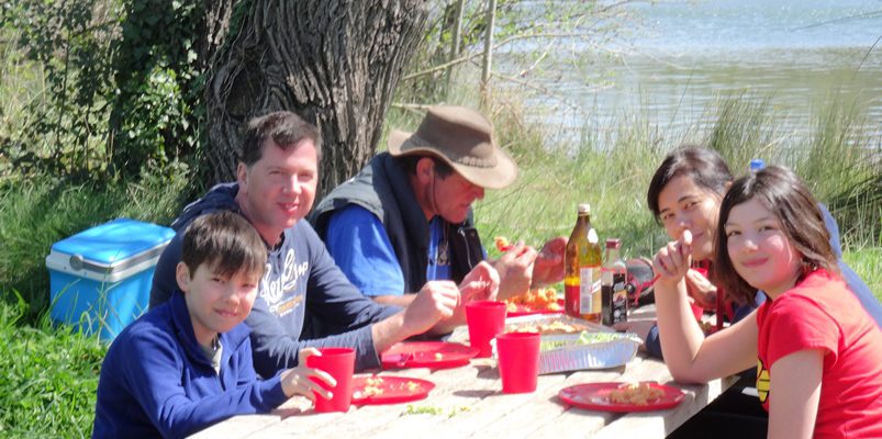 picnic