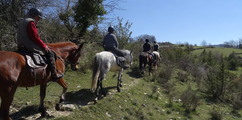 pirineus